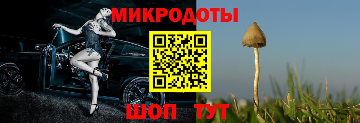 Псилоцибиновые грибы мухоморы Звенигород